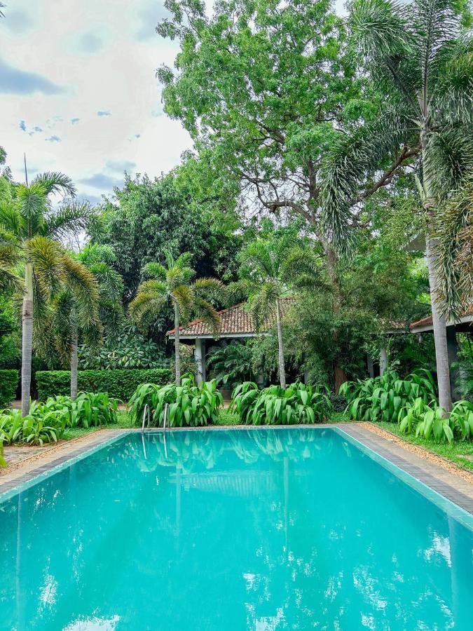 Wild Heaven Hotel Tissamaharama Luaran gambar