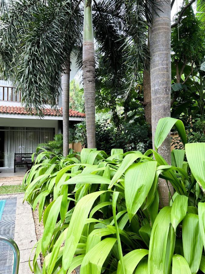 Wild Heaven Hotel Tissamaharama Luaran gambar
