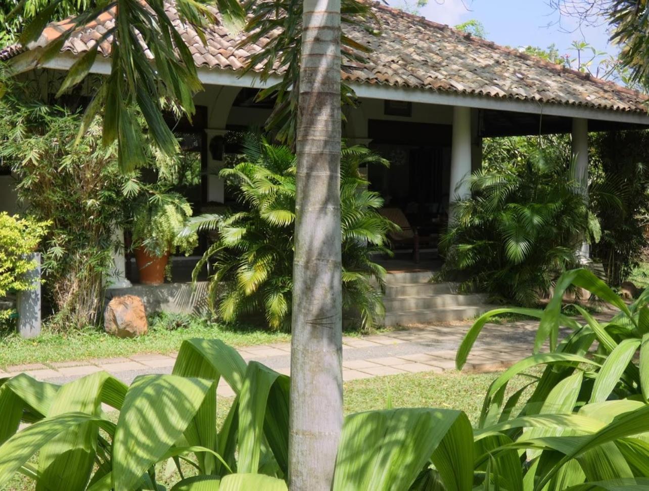 Wild Heaven Hotel Tissamaharama Luaran gambar