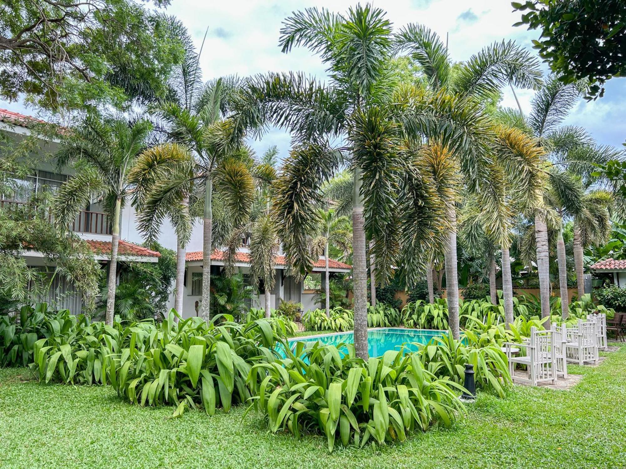 Wild Heaven Hotel Tissamaharama Luaran gambar