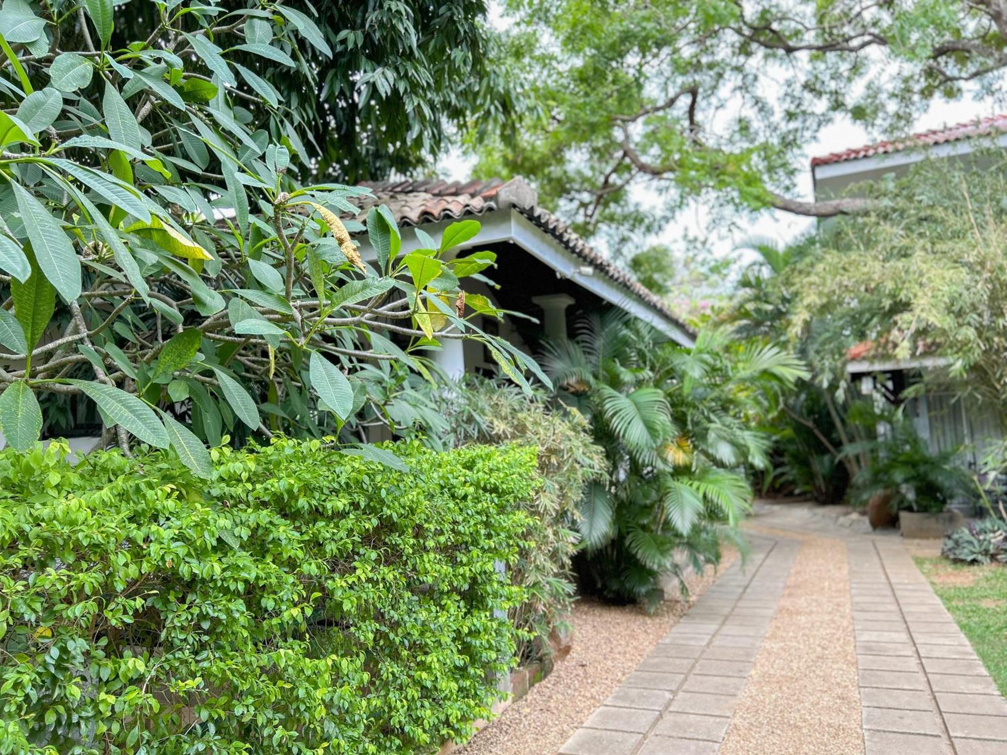 Wild Heaven Hotel Tissamaharama Luaran gambar