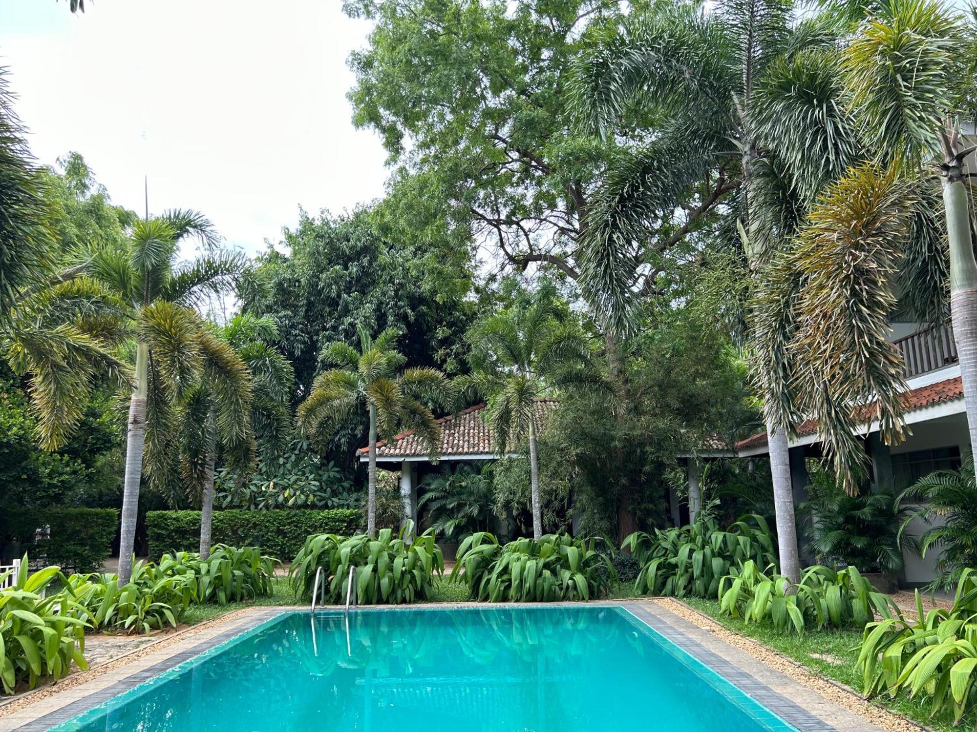 Wild Heaven Hotel Tissamaharama Luaran gambar